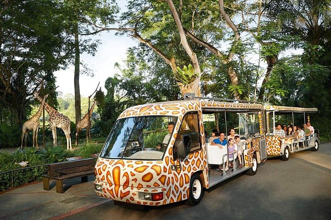 Powerful Cordless Tools for Trams Repair